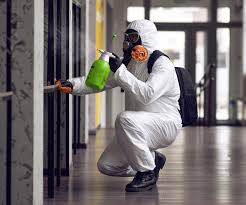 Why You Should Choose Our Mold Remediation Services in Iron Mountain, MI